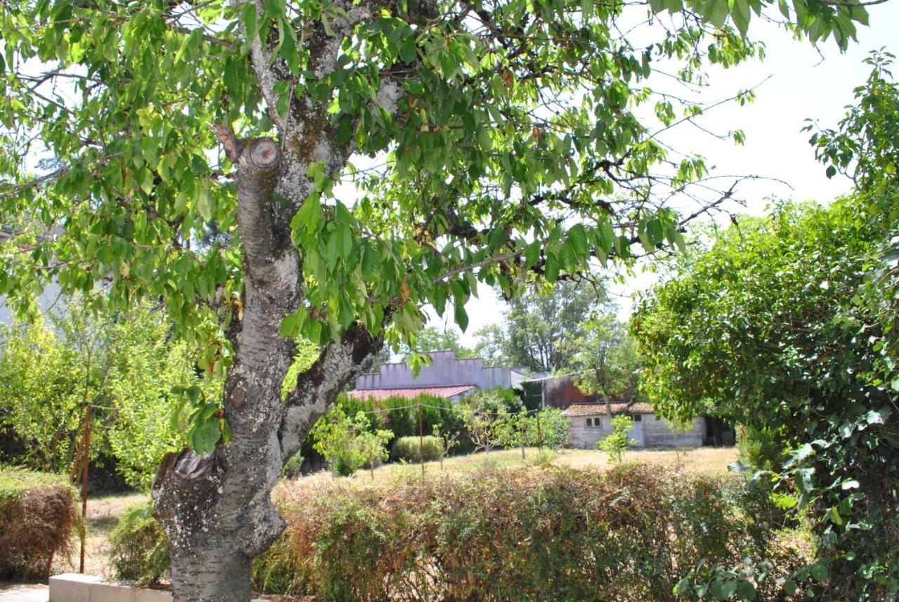 Maison 6 Personnes - Grand Jardin Arbore Villa Noyers-sur-Cher Eksteriør billede